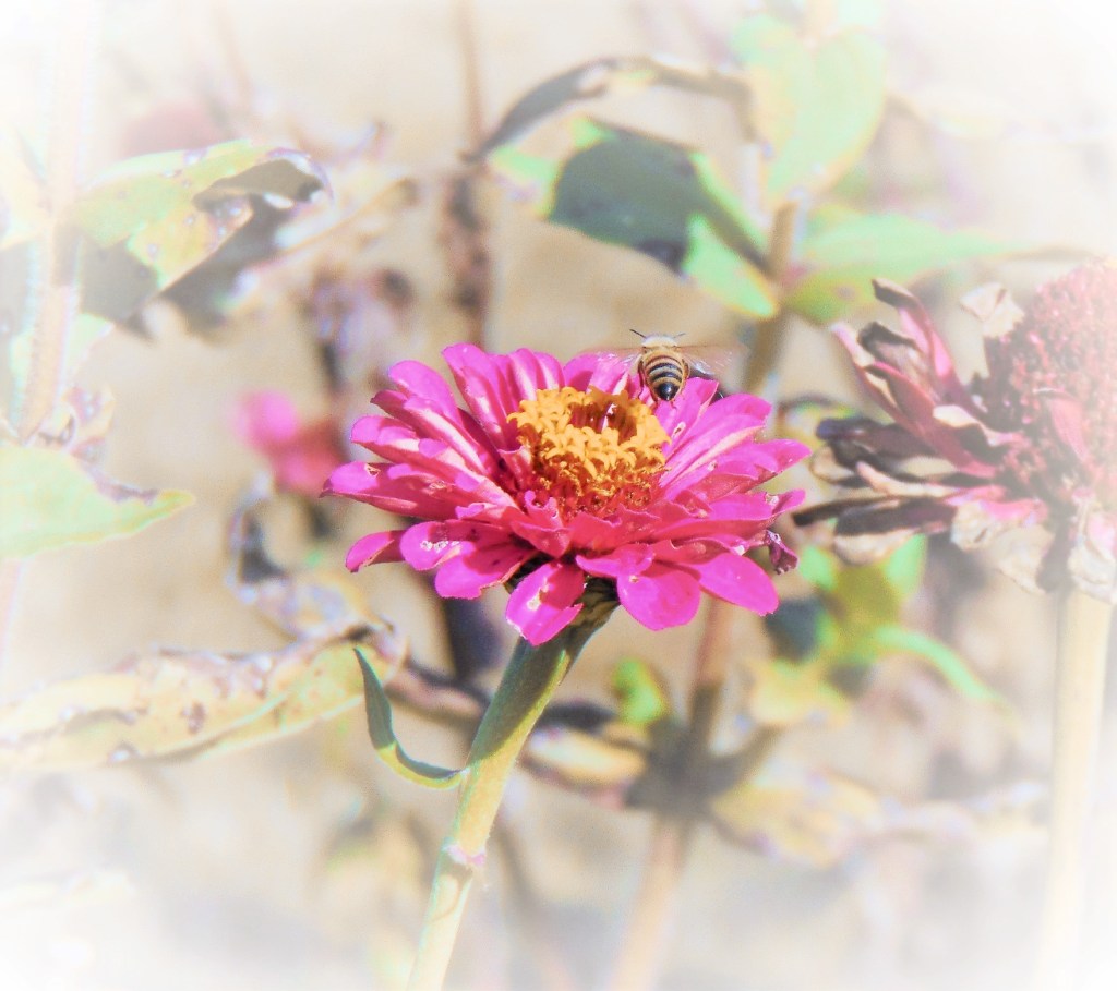 Why am I Seeking Better&nbsp;Health?