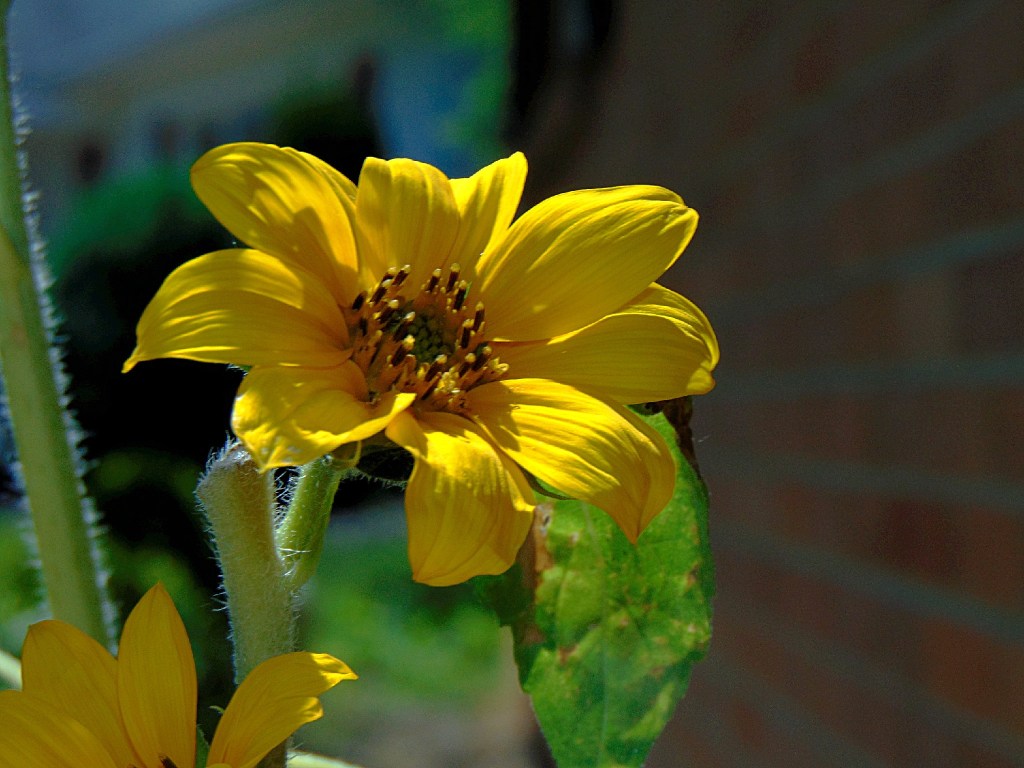 An Almost Unspoken&nbsp;Conversation